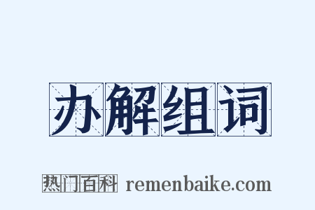 办解组词是什么意思的图片